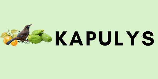 Kapulys Market